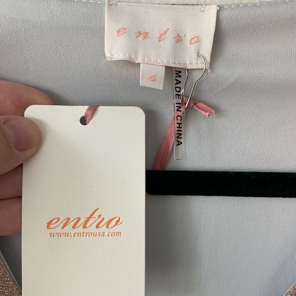 NWOT Entro Long Sleeve Sparkly Dress with Tie Size Small. Fully Lined. - Picture 5 of 8